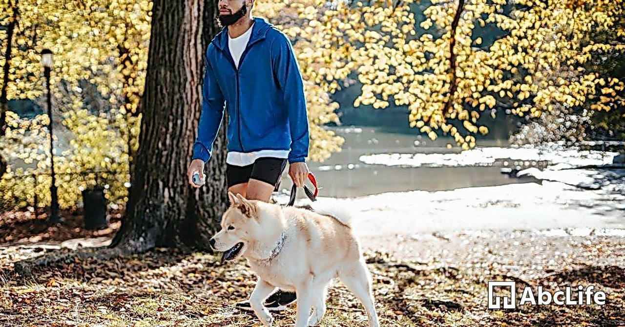 African American male walking with dog in park